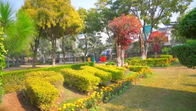rawalpindi horticulture - Rawalpindi horticulture boosts park beautification