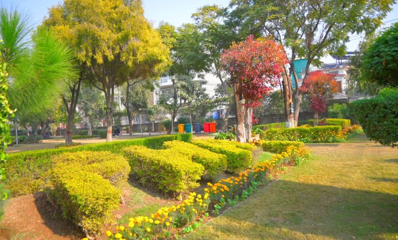 rawalpindi horticulture - Rawalpindi horticulture boosts park beautification