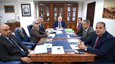 palestine peace plan - Stakeholders Push Palestine Peace Plan Forward