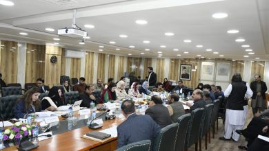 senior citizens bill - Committee Backs Senior Citizens Bill to Boost Protections