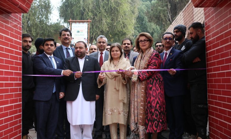 pak tajik festival - Strengthening Ties at Pak Tajik Festival