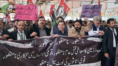pia privatization - PIA Privatization Protests Intensify Nationwide