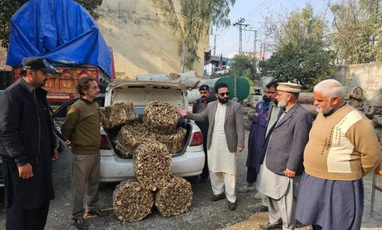walnut bark seizure - Authorities Seize Walnut Bark Vehicle Near Motorway
