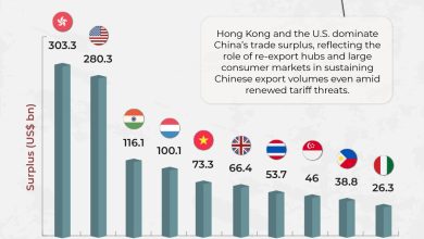 china trade surplus - Tracking China Trade Surplus in 2025