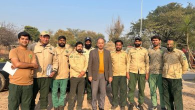 shakarparian trees - Minister Oversees Shakarparian Trees Replacement Drive