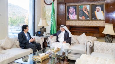 pakistan minerals - Forging Pakistan Minerals Ties with Saudi Arabia
