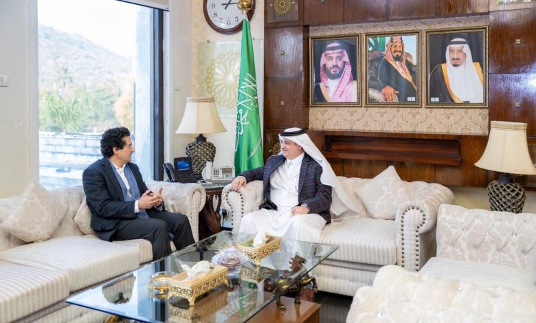 pakistan minerals - Forging Pakistan Minerals Ties with Saudi Arabia