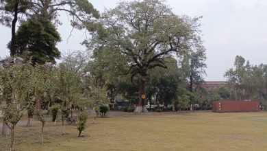 rawalpindi parks - Revitalizing Rawalpindi parks for New Year