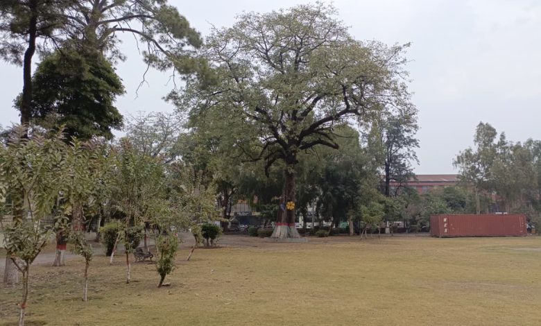 rawalpindi parks - Revitalizing Rawalpindi parks for New Year