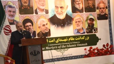 iran pakistan ties - Strengthening Iran Pakistan Ties Through Solidarity