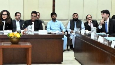 paper mulberry - Islamabad Launches Paper Mulberry Removal Drive