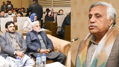 international seminar - PMAS-AAUR Launches International Seminar