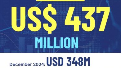 it exports - Pakistan IT Exports Break $400M Monthly Record