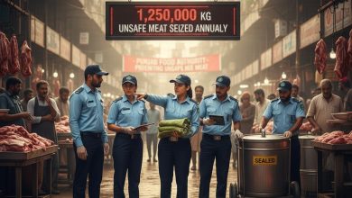 meat safety - Punjab Food Authority Steps Up Meat Safety Enforcement