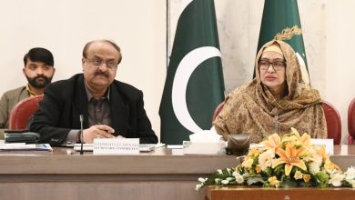 rozae rasool - Parliament Acts to Streamline Rozae Rasool Delegations