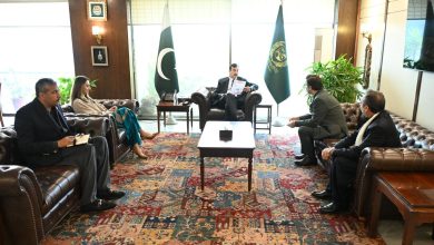 child welfare - Driving Child Welfare Partnerships in Pakistan