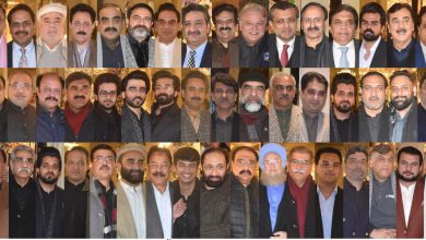 ali khan walimah - Celebrating Ali Khan Walimah with National Leaders