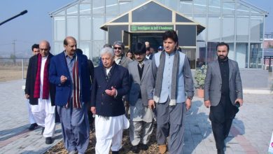speed breeding - Pakistan Advances Speed Breeding with Smart Glasshouse
