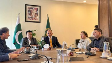 paper mulberry - Islamabad Moves to Remove Paper Mulberry Trees