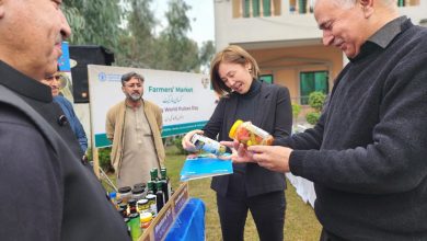 world pulses day - Celebrating World Pulses Day with FAO Farmers Market