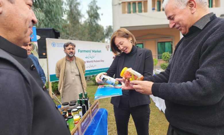 world pulses day - Celebrating World Pulses Day with FAO Farmers Market