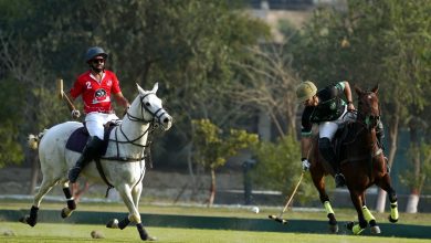 diamond paints cup - FG Polo Charges to Win at Diamond Paints Cup