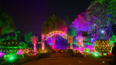 millia park lights - Millia Park Lights Transform Rawalpindi Nights
