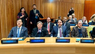 ipu hearing - Pakistan Leads at IPU Hearing in New York