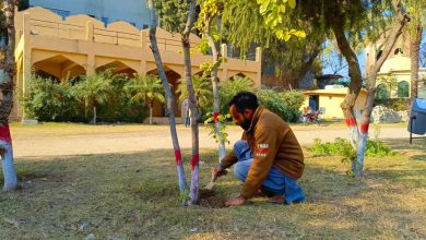 rawalpindi beautification - Rawalpindi beautification drives new park lighting