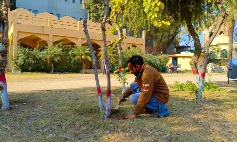 rawalpindi beautification - Rawalpindi beautification drives new park lighting