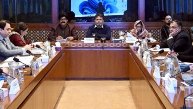 virtual assets bill - Senate Panel Advances Virtual Assets Bill Review