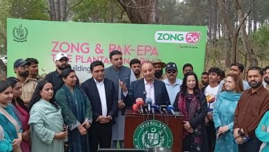tree plantation - Islamabad Begins Weekly Tree Plantation Drive