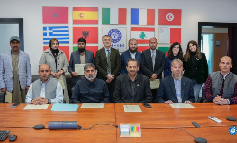 olive nursery - Olive Nursery Training Boosts Pakistan Capacity