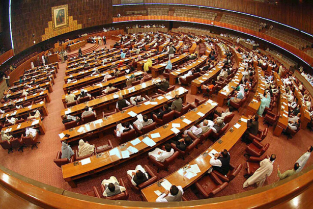 national assembly - National Assembly Speeds Up Lawmaking Despite Oversight