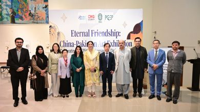 pak china art - Celebrating Pak China Art Exchange in Islamabad