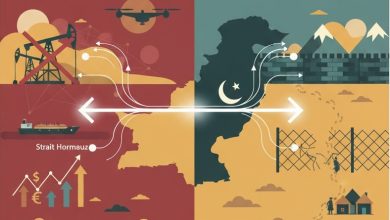 regional stability - Protecting Regional Stability Through Balanced Diplomacy