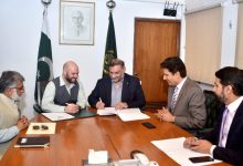 olive hybridization - Advancing Olive Hybridization in Pakistan