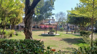 liaquat bagh - Reviving Liaquat Bagh with New Horticulture Effort