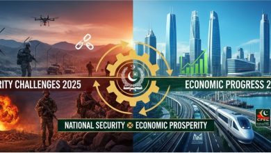 economic security - Prioritising Economic Security to Strengthen Pakistan
