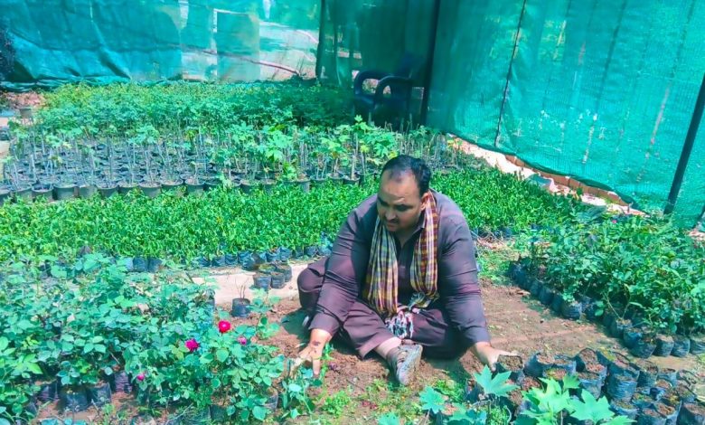 rawalpindi nurseries - Revitalising Rawalpindi Nurseries with Active Care