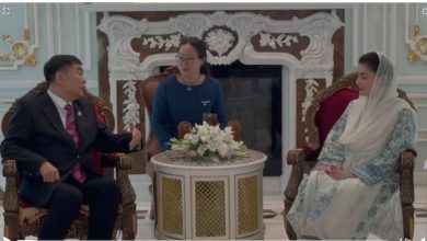 punjab investment - Punjab Investment Drive Advances with China Deals