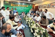 cattle markets - Islamabad Auctions Six Temporary Cattle Markets