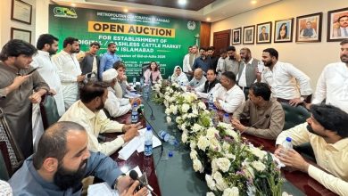 cattle markets - Islamabad Auctions Six Temporary Cattle Markets