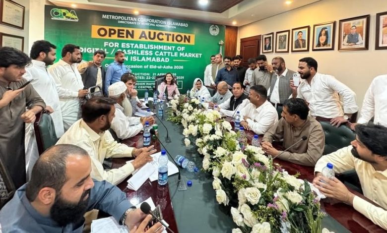 cattle markets - Islamabad Auctions Six Temporary Cattle Markets