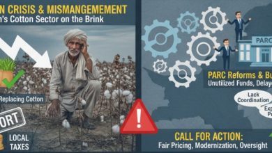 cotton crisis - Acting Now on Pakistan Cotton Crisis