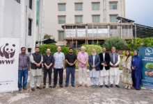 al mizan forest - Launch Al Mizan Forest Drives Climate Action