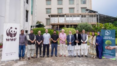 al mizan forest - Launch Al Mizan Forest Drives Climate Action