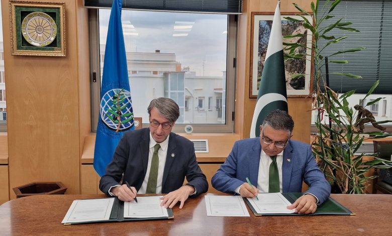 pakistan olive sector - Boosting Pakistan Olive Sector with IOC Membership