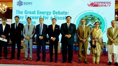 energy security - Driving Energy Security Through Reforms in Pakistan