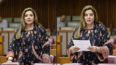 sabheen ghoury - Sabheen Ghoury Strengthens Pakistan China Ties
